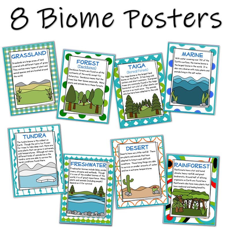 The Rainforest Biome: Resources for the Classroom