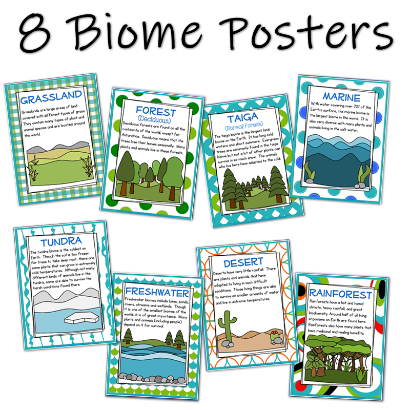 3D Biomes Quadrama & Posters